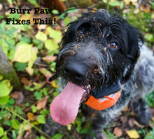 Load image into Gallery viewer, Burr Paw (Tan)
