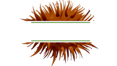 Burr Paw Logo